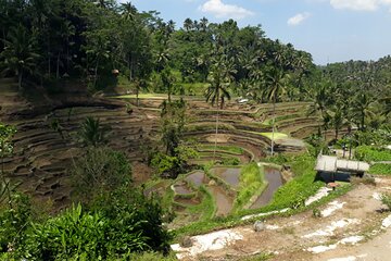 Private tour in Ubud country side