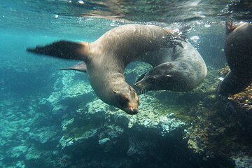 10 Days Galapagos Island Hopping