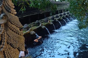 Ubud Monkey Forest, Holy Water Temple & Hot Springs Tours