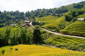 3-Days Sapa Trekking With Local Guide Overnight in Tavan Village