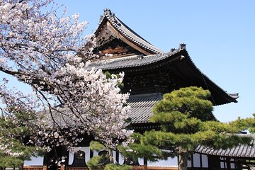 Tea Ceremony Experience & Nishiki Market Walking Tour 