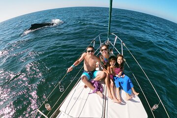 4-Hour Private Whale Watching in Puerto Vallarta