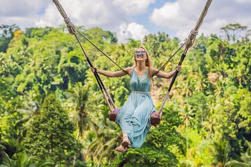 Bali: Ubud Rice Terraces,Swing, Monkey Forest Private Tour