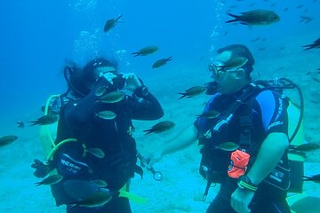 Padi Open Water Certificate in Andros Island