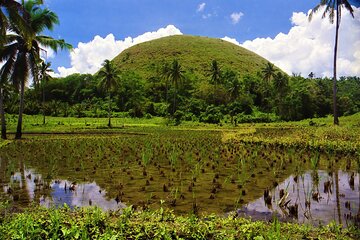 Private Tour Bohol Chocolate Hills Loboc River Cruise 