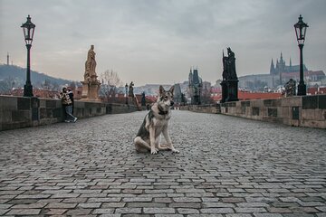 2 Days of Prague Exploration: Left and Right bank of Vltava River