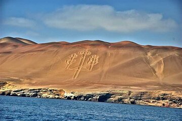 Ballestas Islands Tour for passengers of the Puerto San Martin Cruise