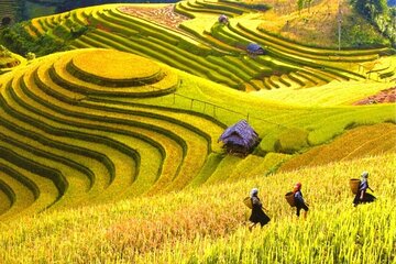 8 Day Private Guided Tour Sapa Hagiang and Ba Be lake in Vietnam 