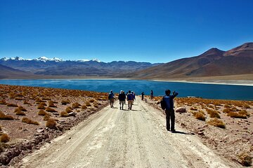 4 Tours to Discover Atacama (3 days)