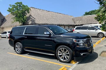 Private Transfer from Punta Cana Airport to Uvero Alto RoundTrip