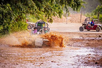 Wild Buggy Adventure in Punta Cana
