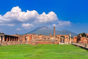 Herculaneum Vesuvius and Pompeii Full Day Tour from Naples