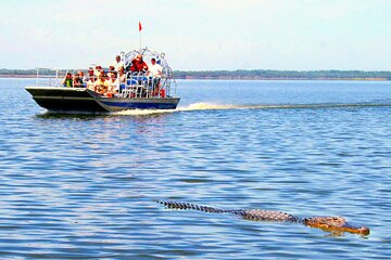 MIAMI: Everglades Airboat Tour, Photo and Gator Experience