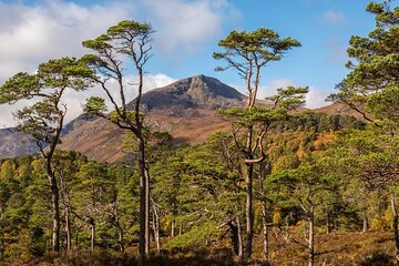 Meandering Through The Highlands of Scotland (West)