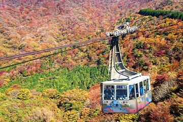 1 Day private Tour in Hakone with Hakone Freepass & Train Ticket