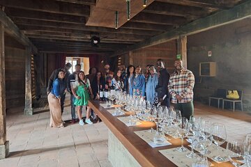 Full Day Private Colchagua Wine Tour from Santiago 