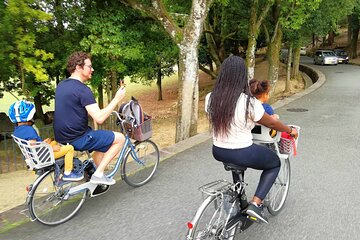 Private Nara E-bike - Family Tour with Lunch