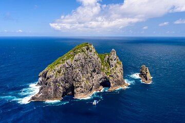 The Original Full day Bay of Islands Cruise with Dolphins 