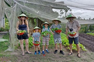 Half Day Exploring Farming Healthy Cooking Class