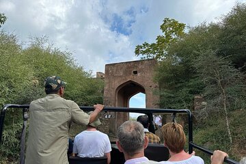 Two Night Safari Experience Ranthambore National Park &Transfers