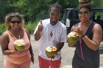 Private Full Day Holland Bamboo and Rum Experience in Jamaica