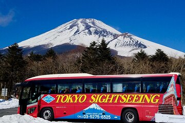 Mt. Fuji & Hakone Tour Tokyo hotel pick-up by Grayline