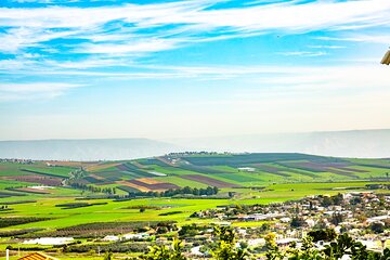 Full-Day Private Galilee & Golan Heights Wine Tour from Tel Aviv