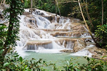 Dunn's River Falls Private Tour from Montego Bay