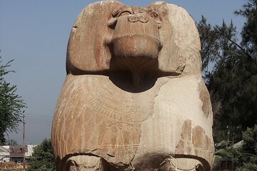 Private Journey To El Minya The Capital Of Egypt B.C. 
