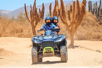 NEW!! 4X4 ATV Cabo Adventure, Beach, Desert, and Tequila Tasting 
