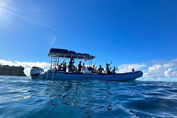 The Best 2 Hour Molokini Express Snorkeling