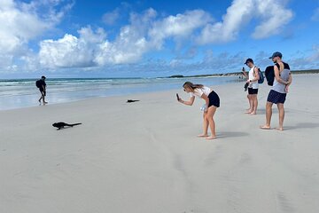 Private Charles Darwin Station Tour &Tortuga Bay Beach with lunch