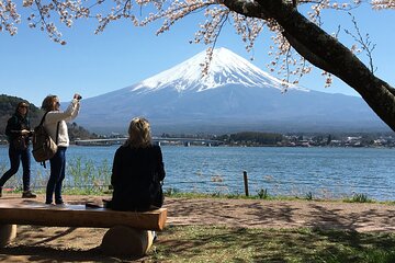 Mt Fuji Day Trip With English Speaking Driver From Tokyo