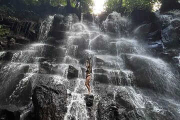 Ubud : Hidden Gems Waterfalls and Private tour