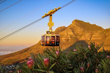 2-Day Cape Town Big 6 Pre-Booked Attraction Tickets