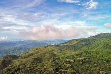 Private Tour Sinharaja Rain forest from Colombo