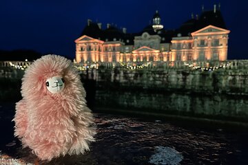 Vaux-le-Vicomte Castle Private Guided Half-Day Tour from Paris