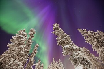 Private Yukon Aurora Viewing