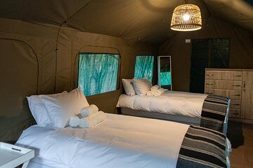 4 Day Kruger Glamping Safari and Panorama Tour