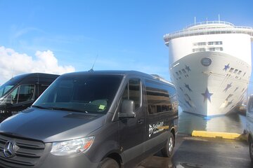 Private Shore Excursion Hilo Volcanoes National Park up to 11 PPL