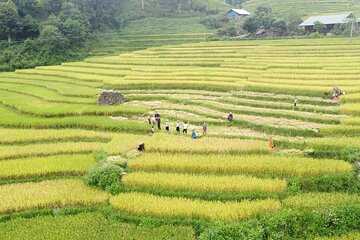 Hanoi Sapa Tour 3 Days 2 Nights Departing Daily