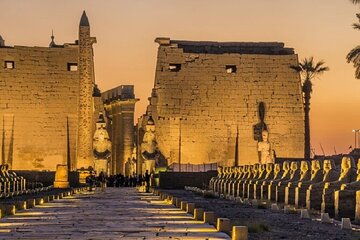 Private Day Tour to Luxor-East and West Banks