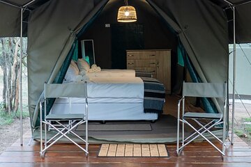 5 Day Kruger Glamping Safari and Panorama Tour