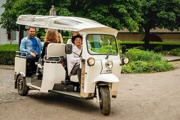 Geneva: Sightseeing of top Places Tour Electric TukTuk 1H tour