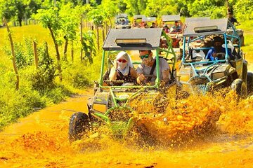 Guided Buggy Tour of Punta Cana