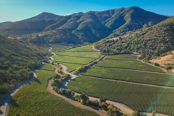 Full-Day Private Colchagua Valley Wine Tour from Santiago