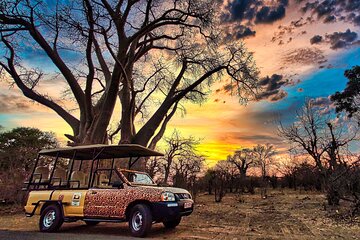 Safari in Victoria Falls and Zambezi National Park