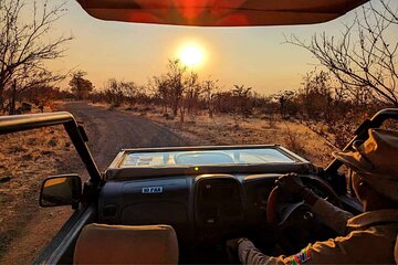 3-Hour Safari Game Drive in Zambezi National Park