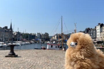 2-Days Customisable Private Guided Tour in Normandy & Brittany