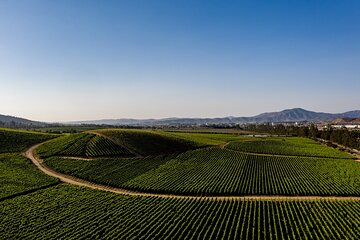 Full-Day Private Casablanca Valley Wine Tour from Santiago